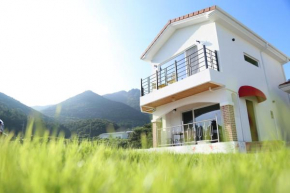 Spain House
